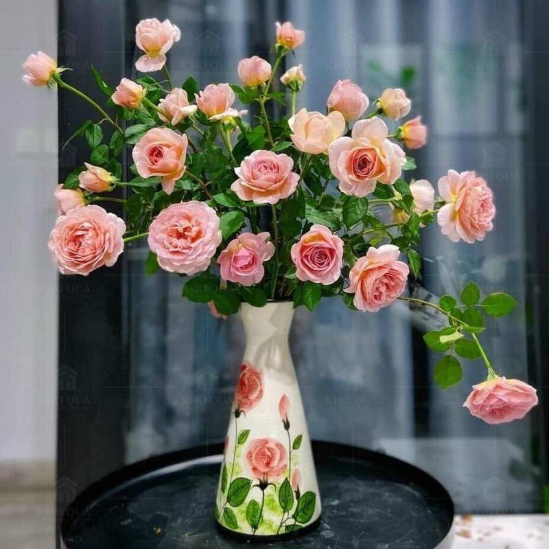 lo hoa dang ly (5) lo hoa dang ly (5)