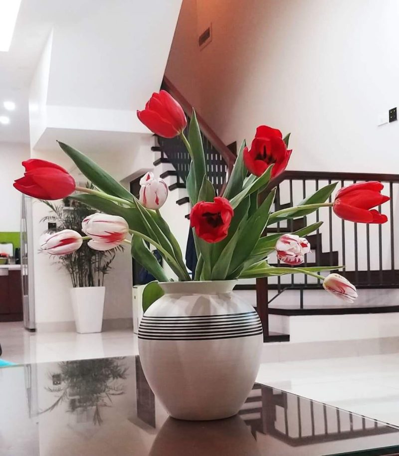 z4369429159133_e814f7500070f38c1e7de8a7ebe2d0c5 z4369429159133_e814f7500070f38c1e7de8a7ebe2d0c5