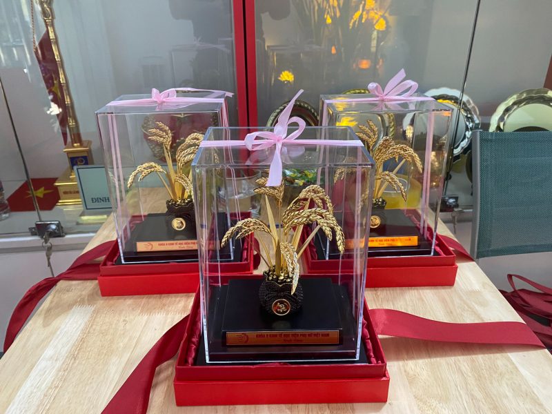 Bong-lua-dat-vang-co-in-logo-2-2-scaled