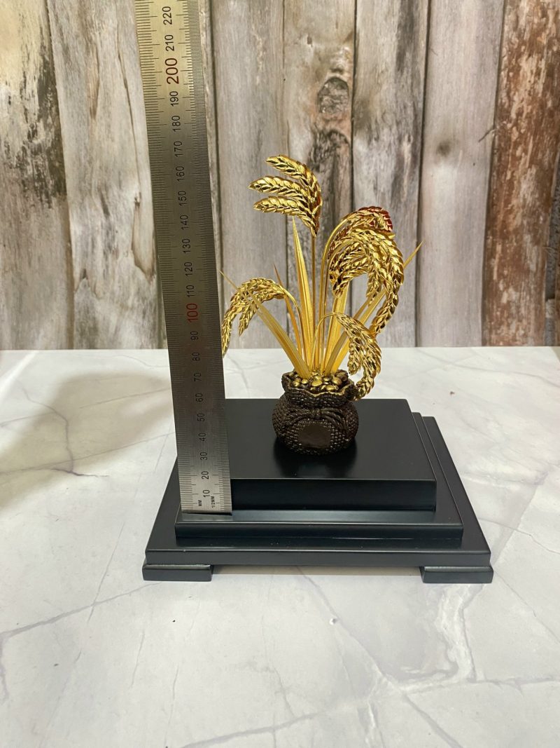 kthuoc cao 13cm kthuoc cao 13cm