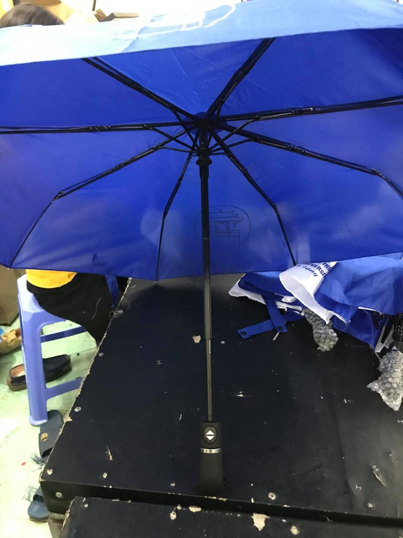 z4409052676036_81459e6238a51e9ad79c9c2b33760c5e