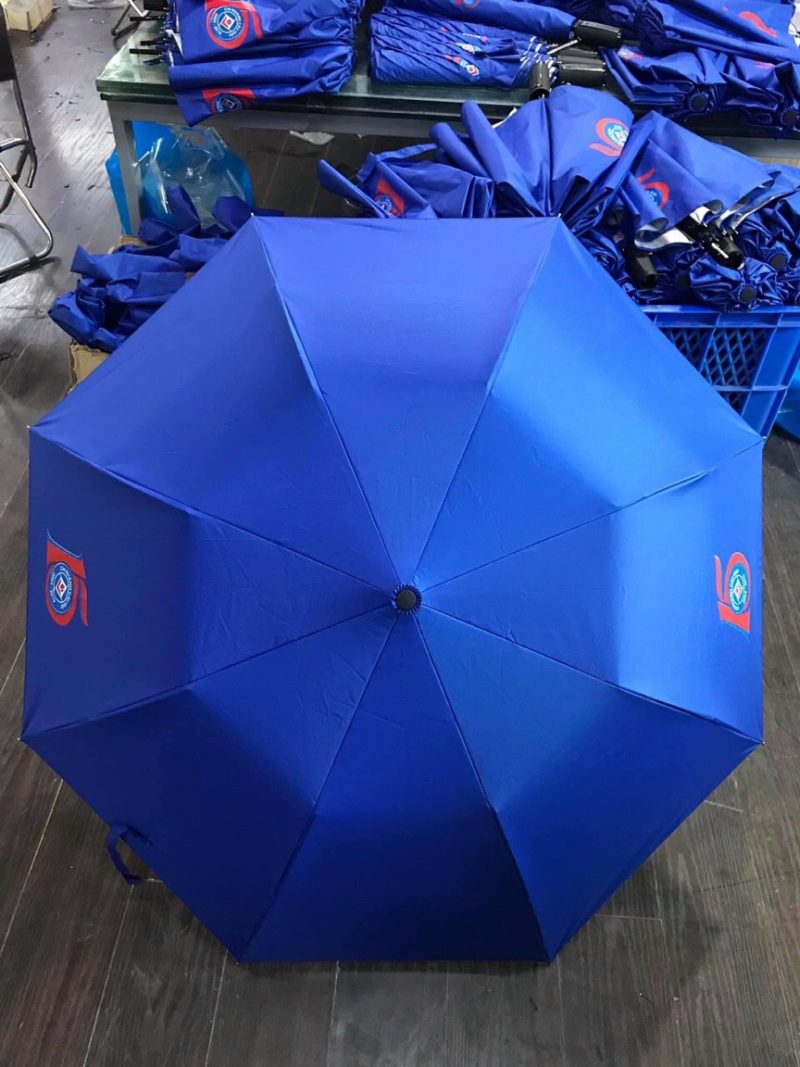 z4409213303538_490a3c855d1c2b7c93ddffc4c794c516