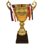 Cúp thể thao 2024B – cao 38cm