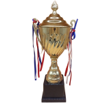 Cúp thể thao 3018A cao 45cm