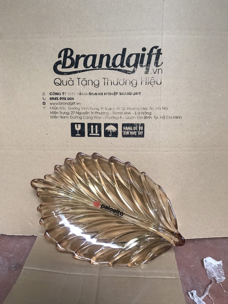 z4932757976459_494c434ea4f55e1a3d083935003fce5f