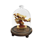 Cây mai dát vàng 12x15cm