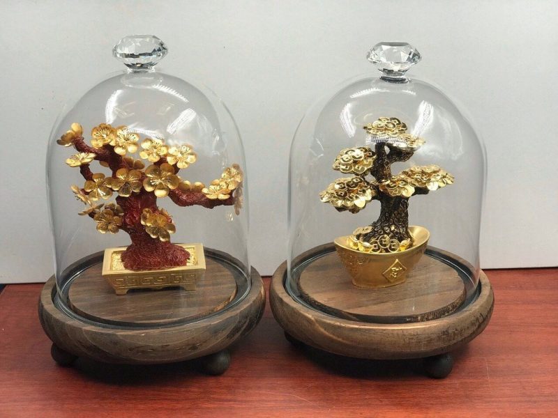 cay-dong-tien-dat-vang cay-dong-tien-dat-vang