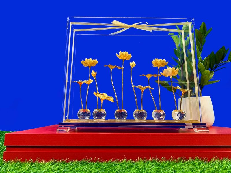 ho hoa sen dat vang 3