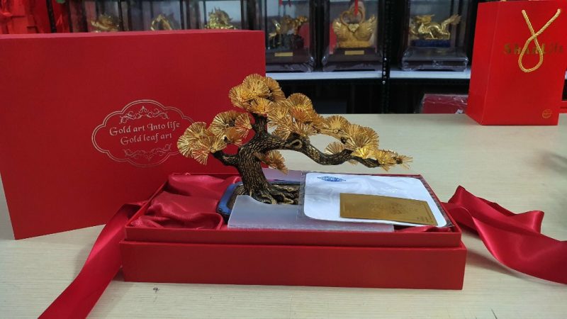 cay-tung-dat-vang cay-tung-dat-vang