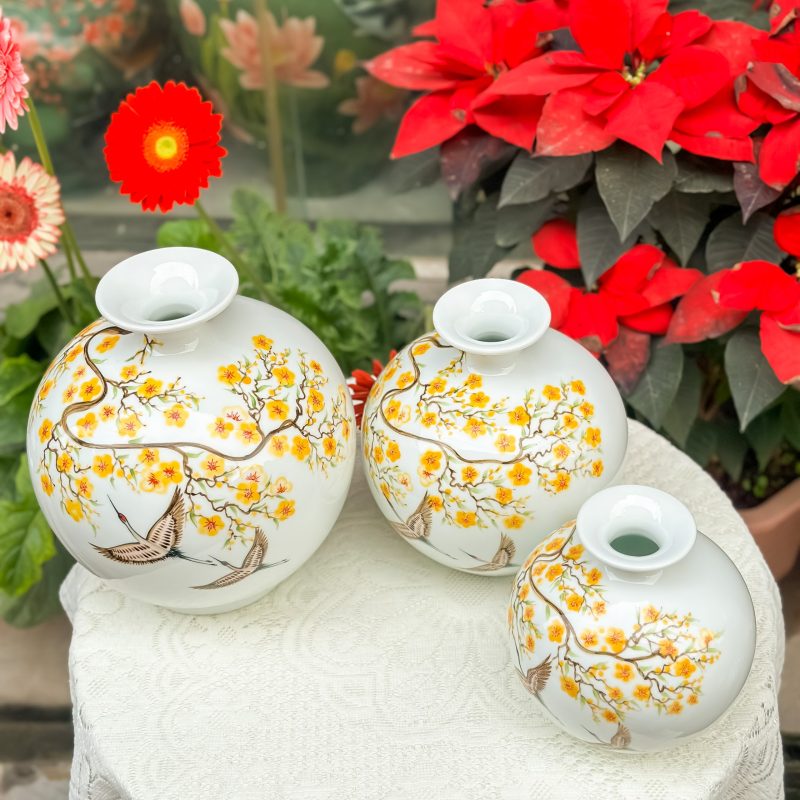 binh_hut_loc_ve_tay(12)