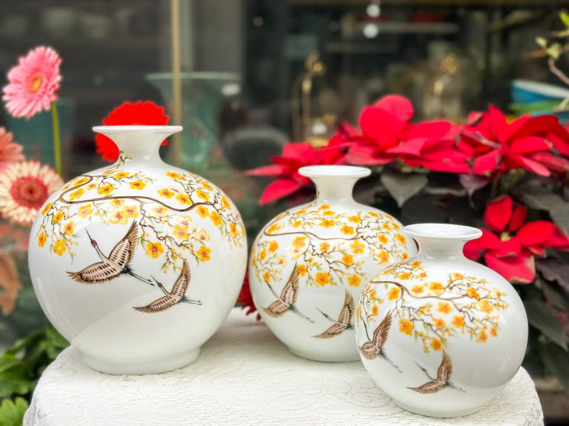 binh_hut_loc_ve_tay(15)