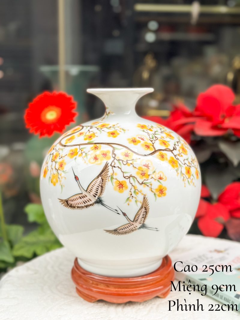 binh_hut_loc_ve_tay(16)