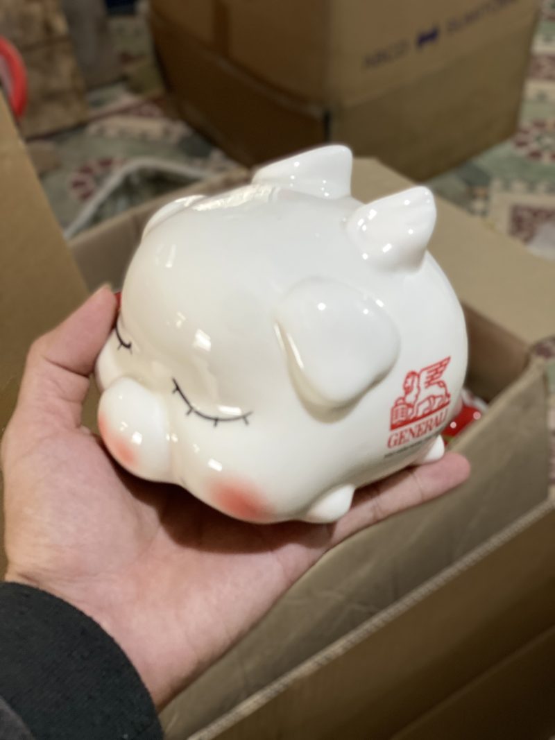 z5260085377620_08c6d2aa35028dd4936ba4ab6dd27601