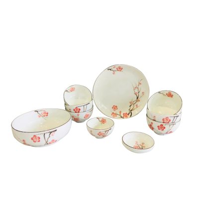 Bộ bát đĩa 10 sản phẩm+ hộp