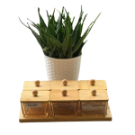 Bộ 6 hũ mứt thủy tinh vuông nắp gỗ MG 605 – kèm khay gỗ