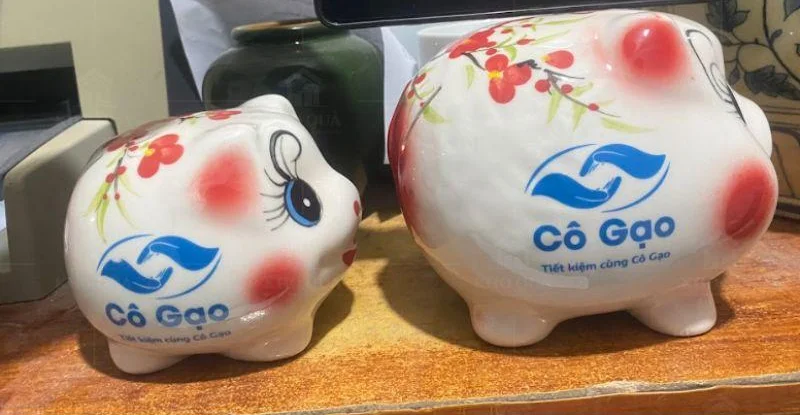 Hai mẫu heo đất hoa in Cô Gạo có ngoại quan khác cỡ